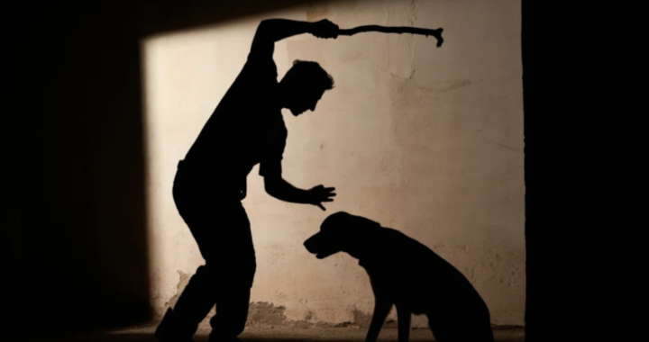 Maltrato animal: proponen arresto de hasta 60 días y prohibición de tener mascotas